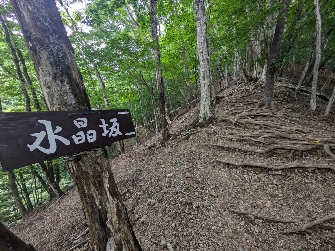 たむら鍼灸整骨院のイメージ