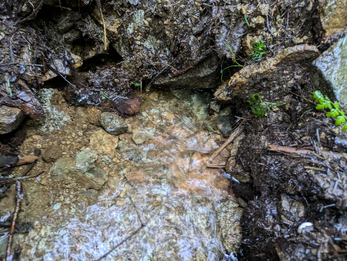 たむら鍼灸整骨院のイメージ