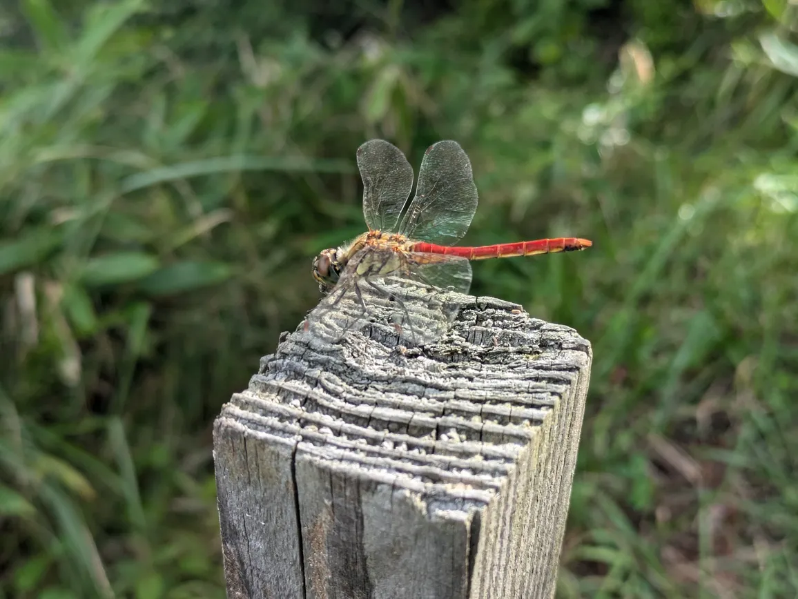 たむら鍼灸整骨院のイメージ