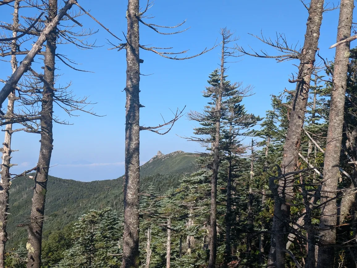 たむら鍼灸整骨院のイメージ