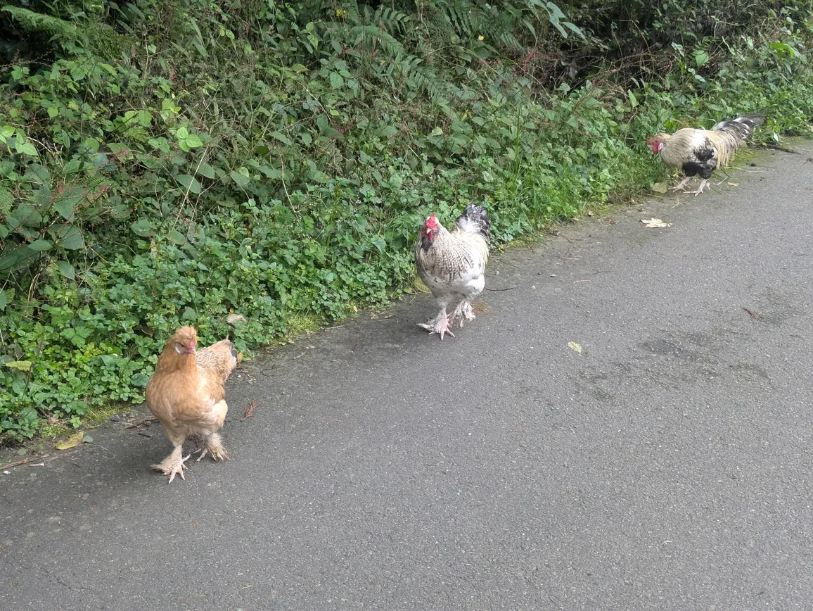 たむら鍼灸整骨院のイメージ