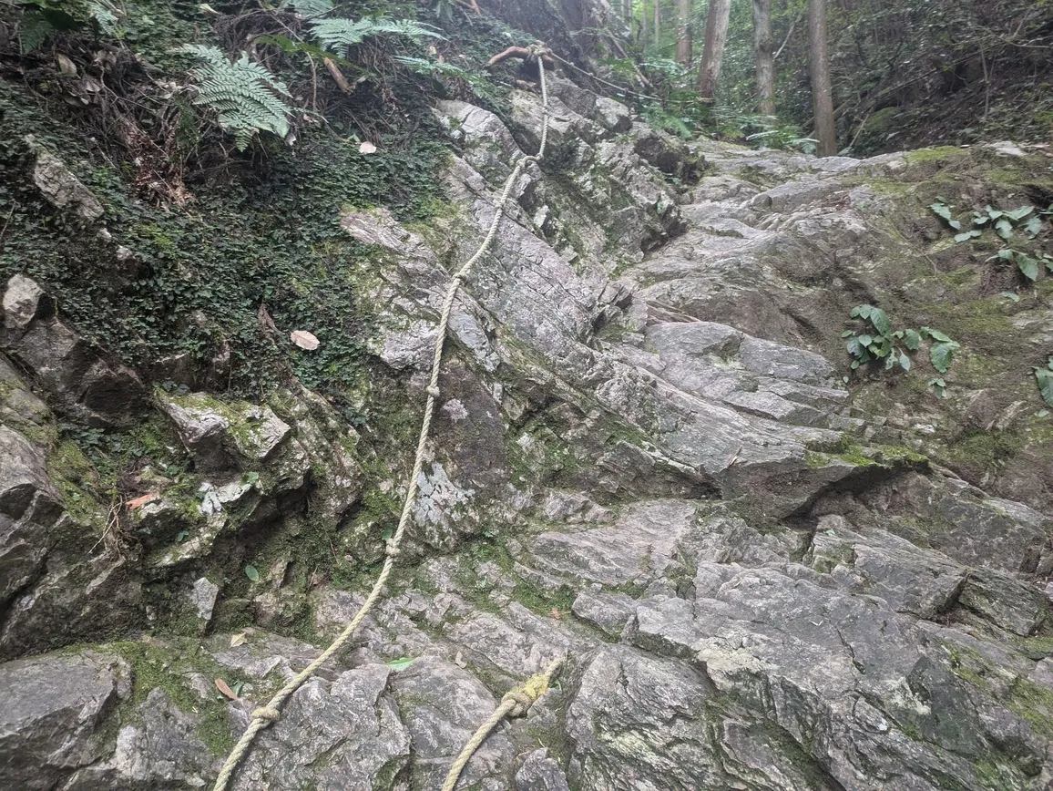 たむら鍼灸整骨院のイメージ