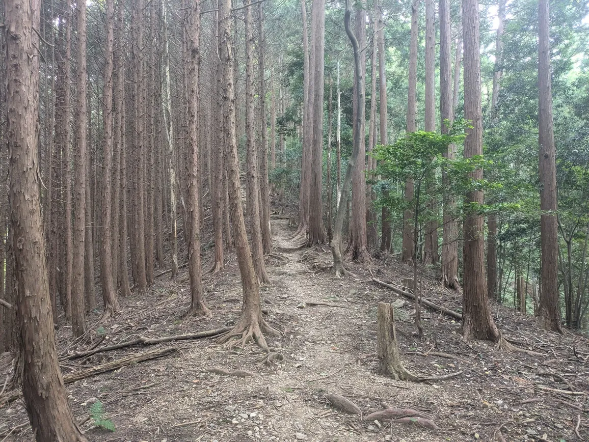 たむら鍼灸整骨院のイメージ