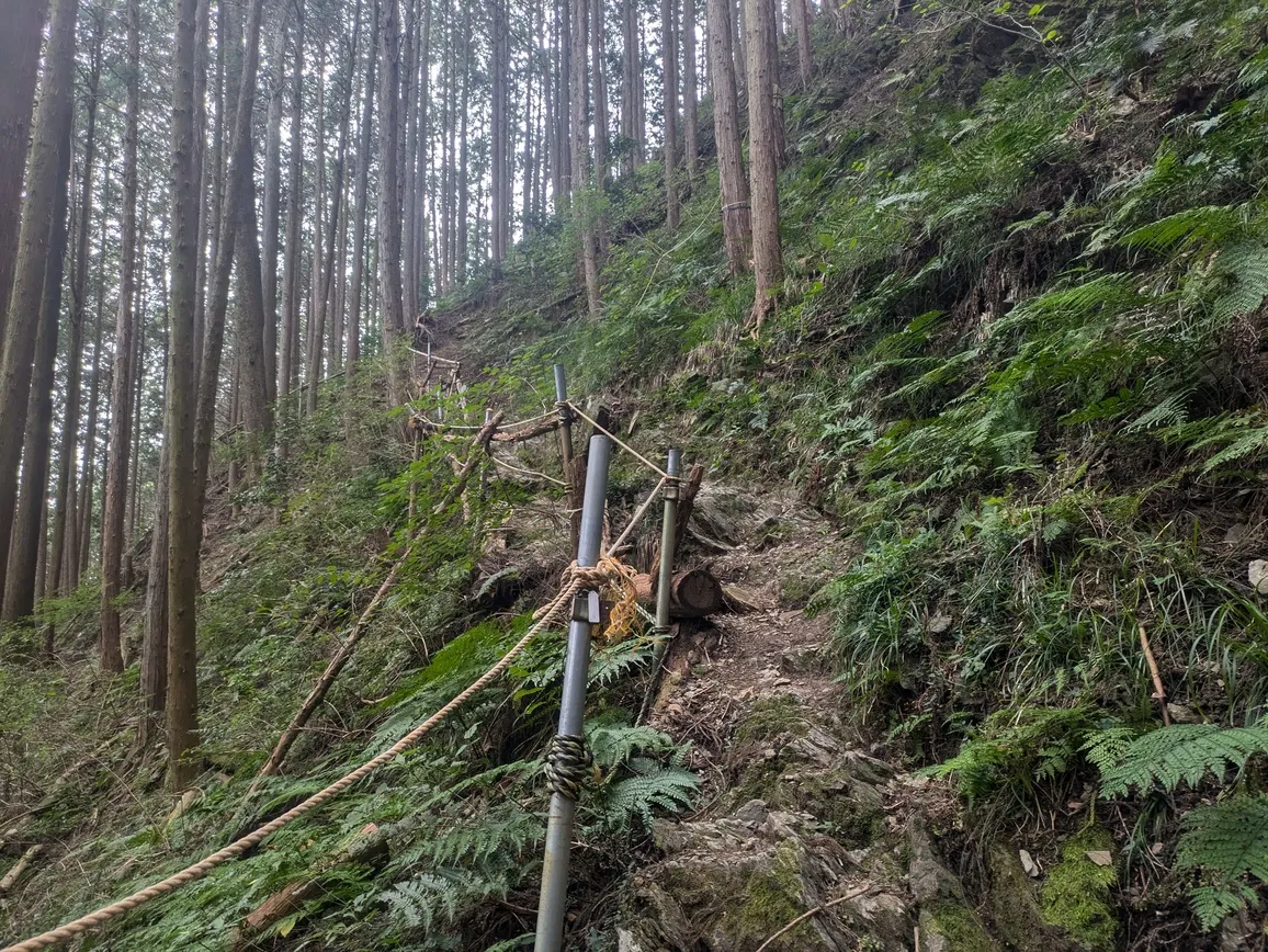 たむら鍼灸整骨院のイメージ