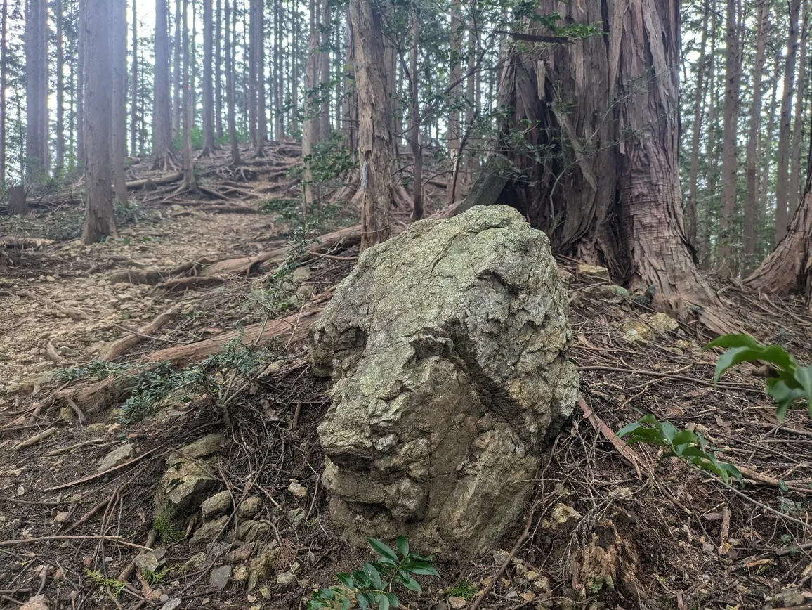 たむら鍼灸整骨院のイメージ