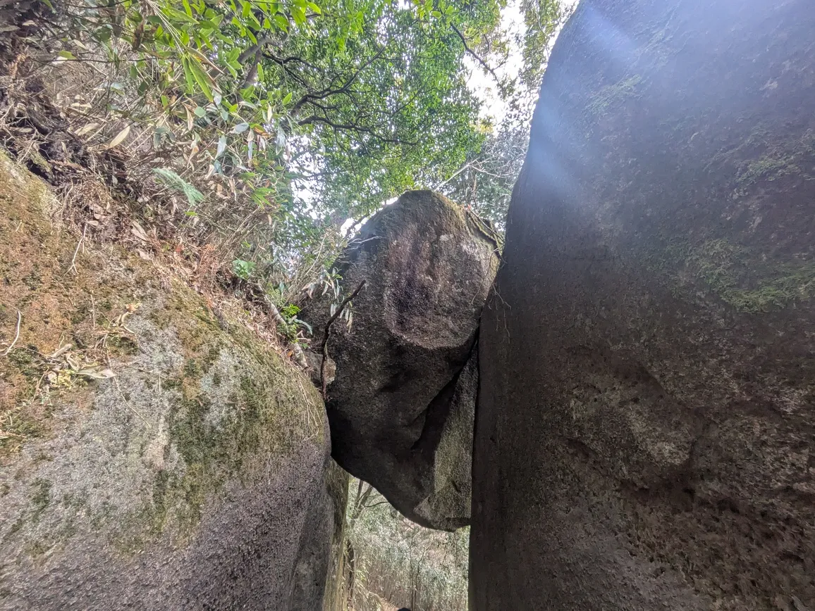 たむら鍼灸整骨院のイメージ