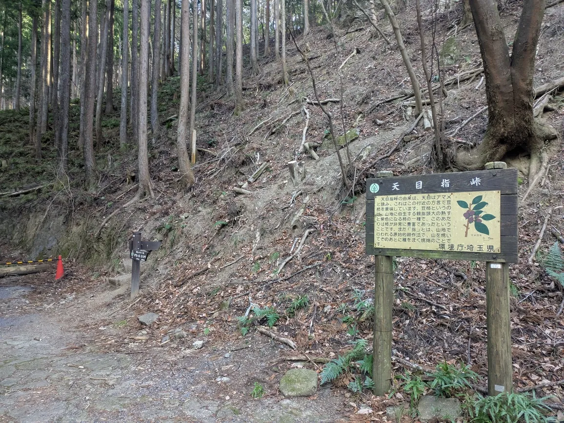 たむら鍼灸整骨院のイメージ